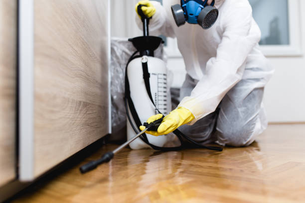 Reliable Foreman, AR Pest Control Solutions