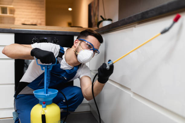 Best Best Pest Control Companies  in Foreman, AR