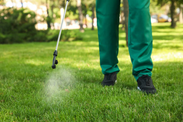 Wasp Removal Services in Foreman, AR